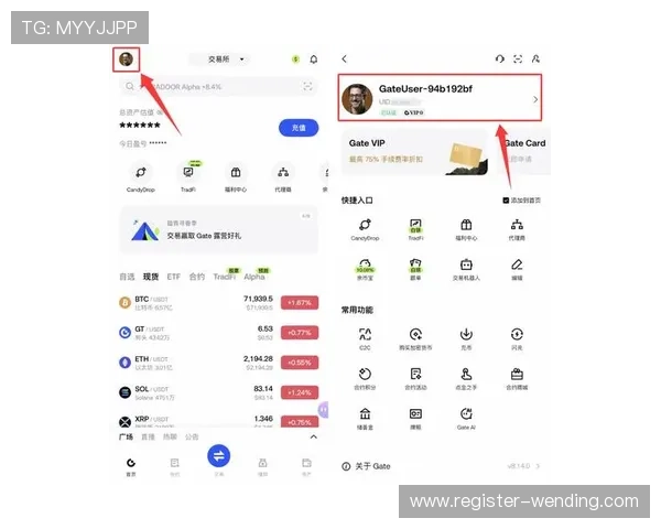 问鼎h5网页入口全面解析助你快速找到最佳游戏入口指南